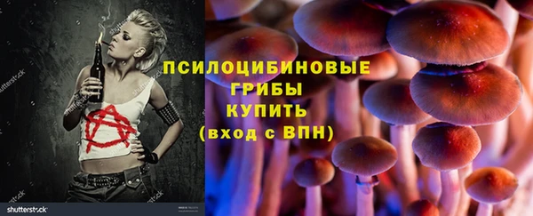 дурь Алексин