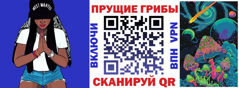 Псилоцибиновые грибы прущие грибы  Саки 