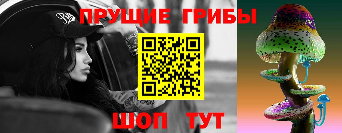 Галлюциногенные грибы прущие грибы  Вход с VPN  Псилоцибиновые грибы GOLDEN TEACHER  Саки 